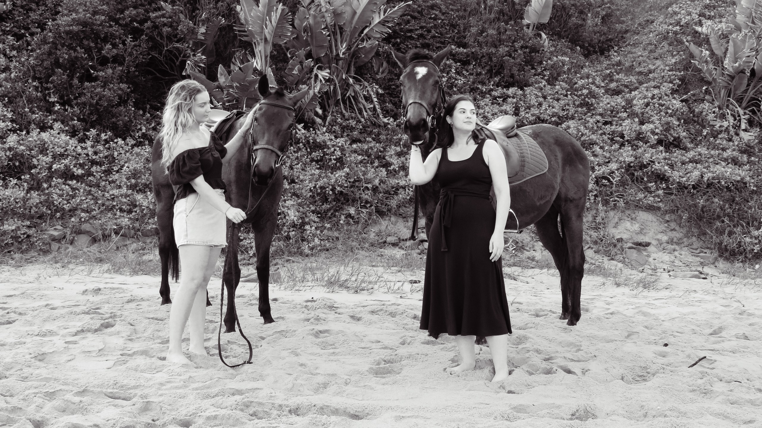 Two guests with horses against coastal bush, black and white