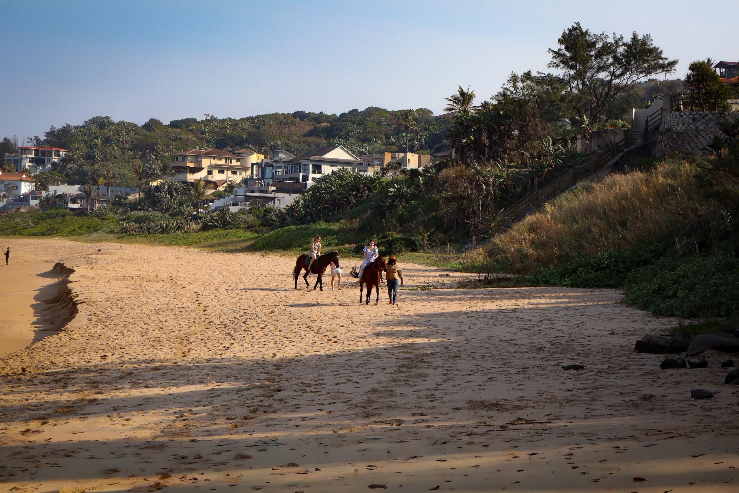 Guided outride with handlers walking horses on the beach